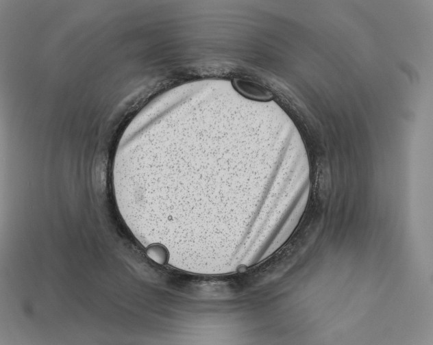 X0000113320501200910131131