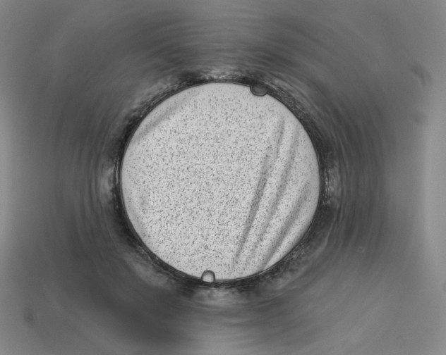 X0000113320503200910131131