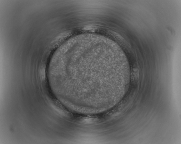 X0000113320504200910131131