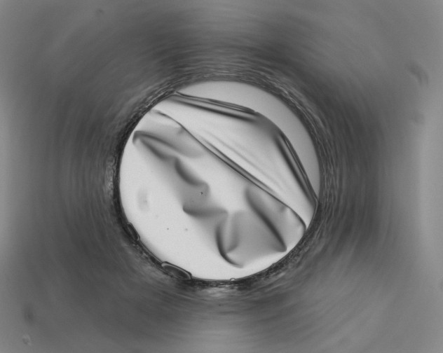 X0000113320505200910131131