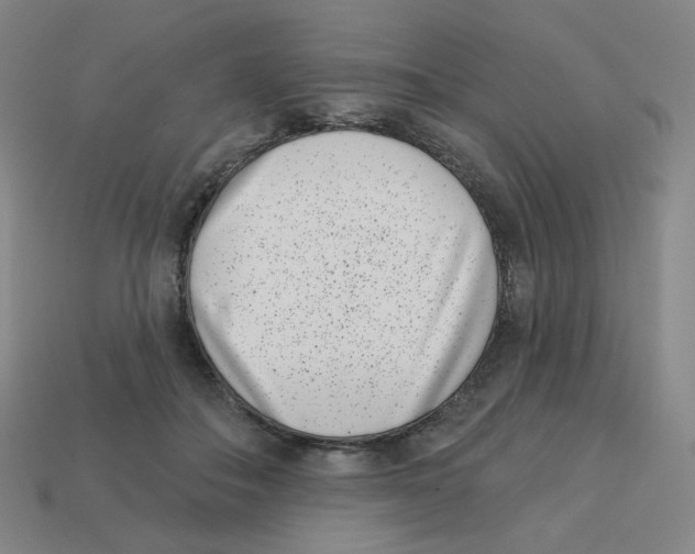 X0000113320506200910131131