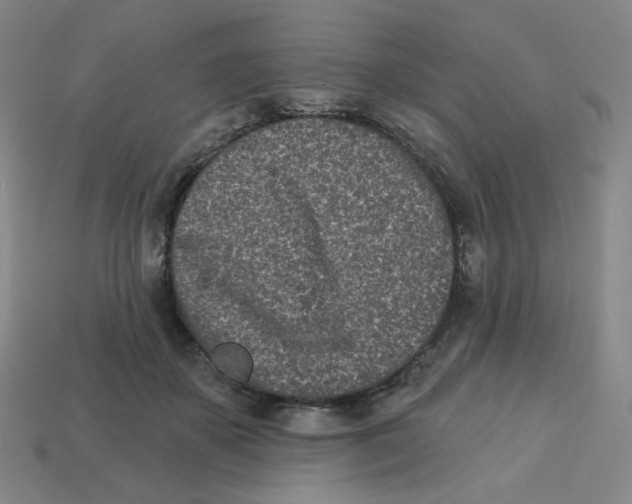 X0000113320507200910131131