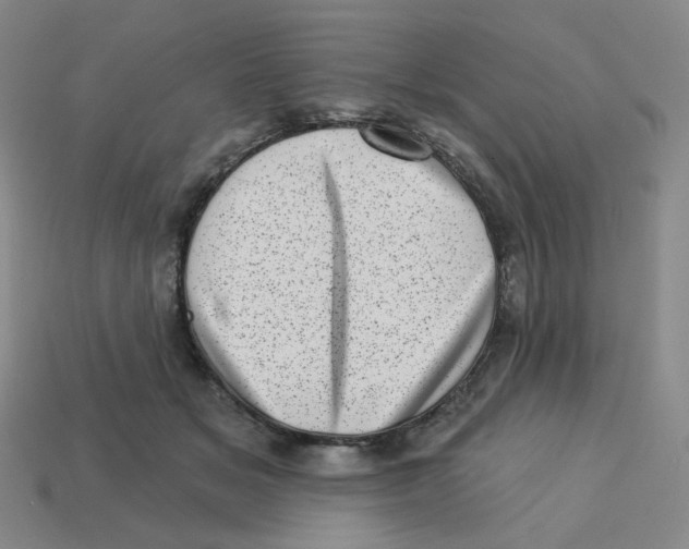 X0000113320509200910131131