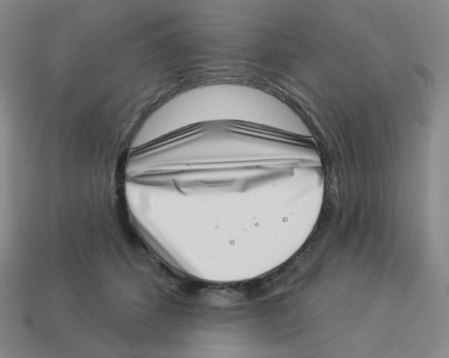 X0000113320512200910131131