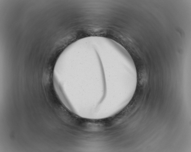 X0000113320515200910131131