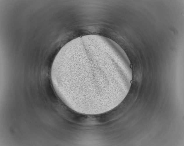 X0000113320518200910131131