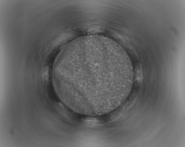 X0000113320519200910131131