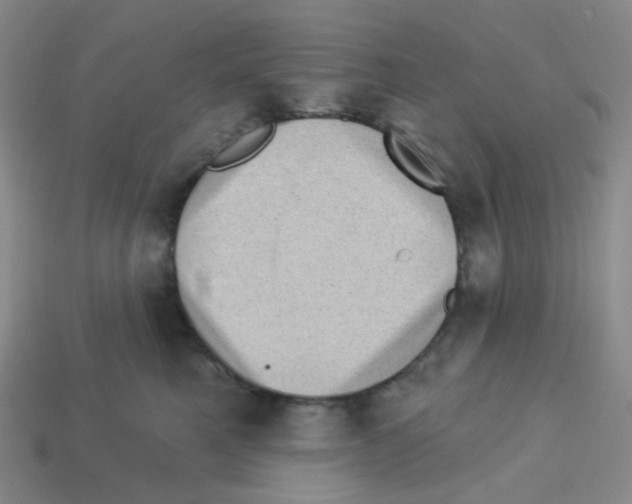 X0000113320521200910131131