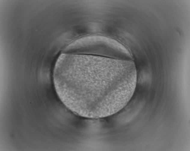 X0000113320524200910131131