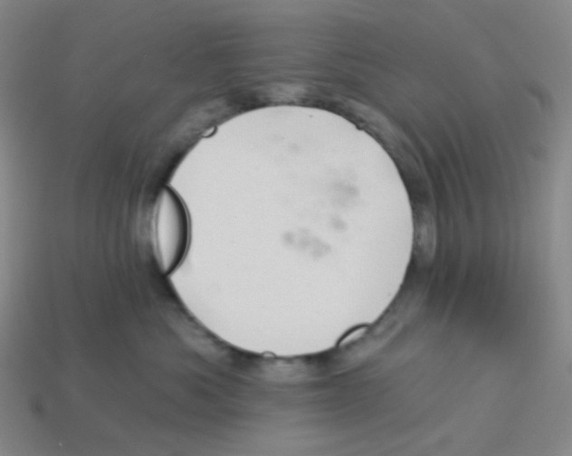 X0000113320525200910131131