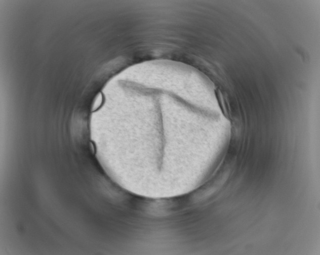 X0000113320527200910131131