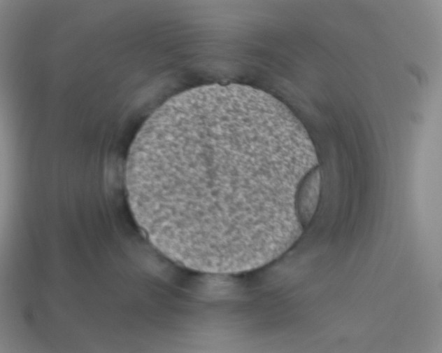 X0000113320528200910131131