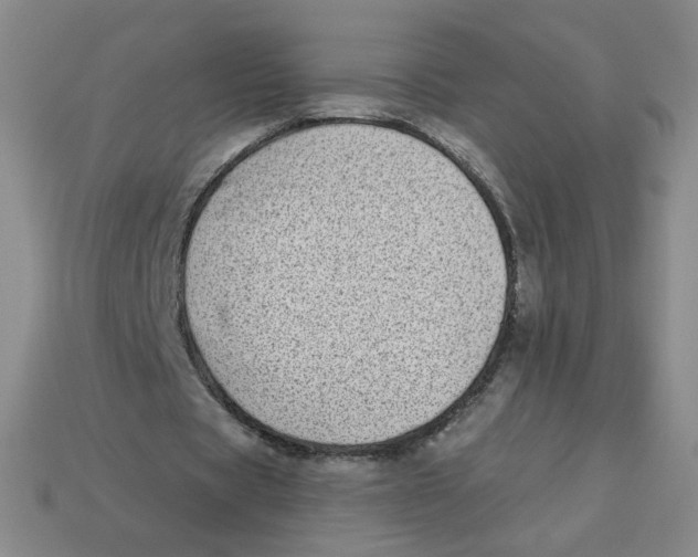 X0000113320529200910131130