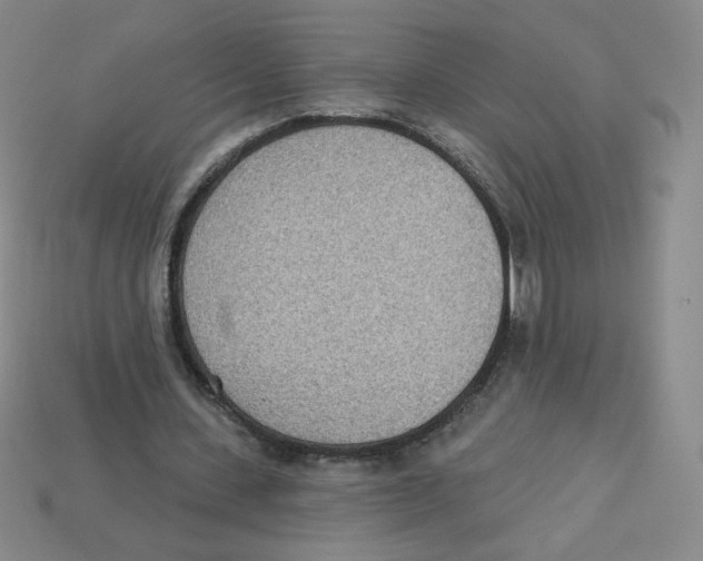 X0000113320531200910131130