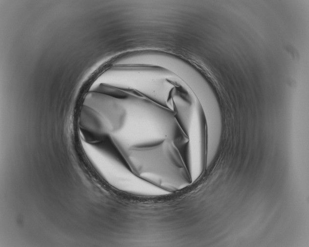 X0000113320532200910131130