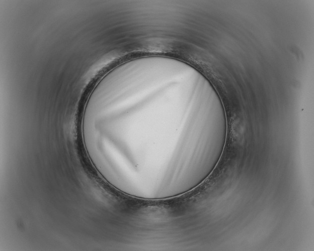 X0000113320536200910131130