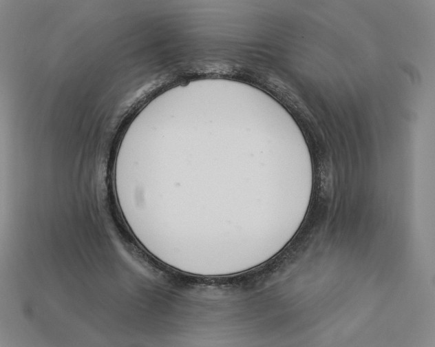 X0000113320538200910131130