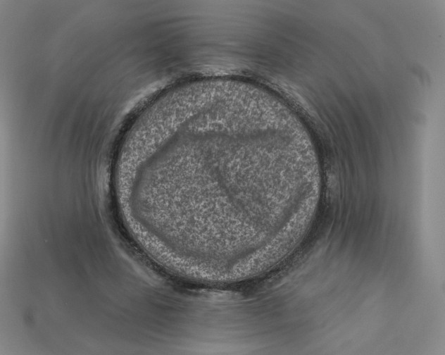 X0000113320539200910131130