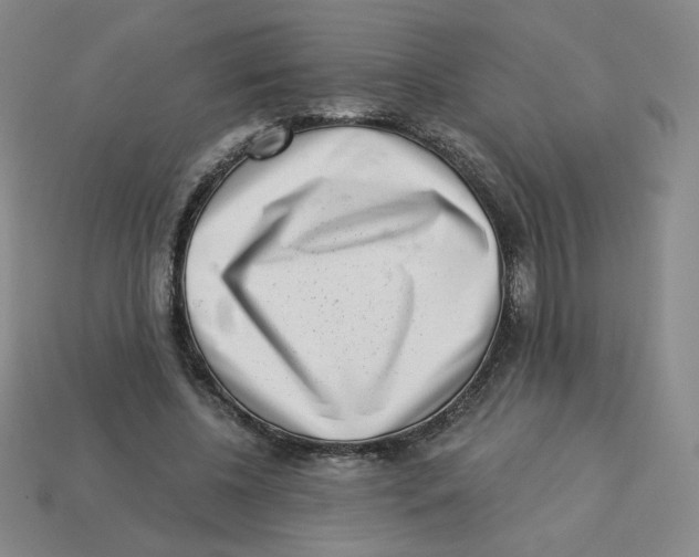 X0000113320540200910131130