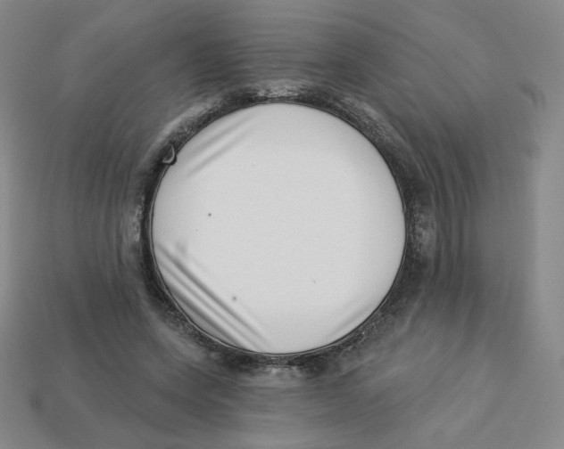 X0000113320543200910131130