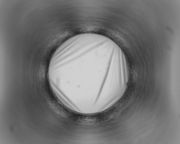 X0000113320546200910131130