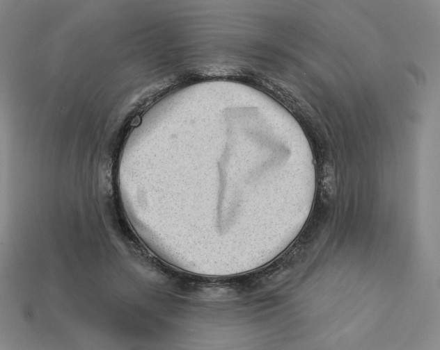 X0000113320547200910131130