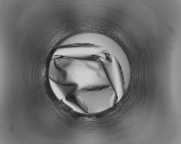 X0000113320548200910131130