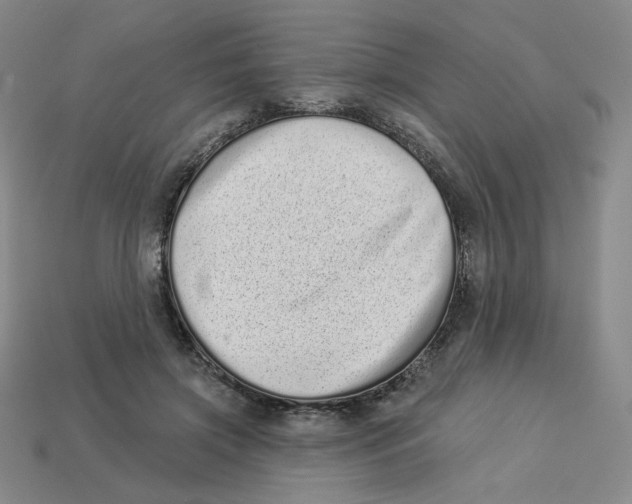 X0000113320549200910131130