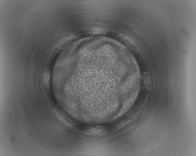 X0000113320550200910131130