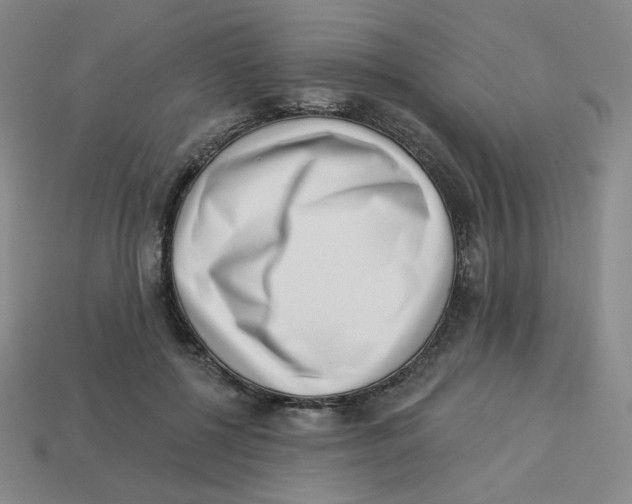 X0000113320552200910131130