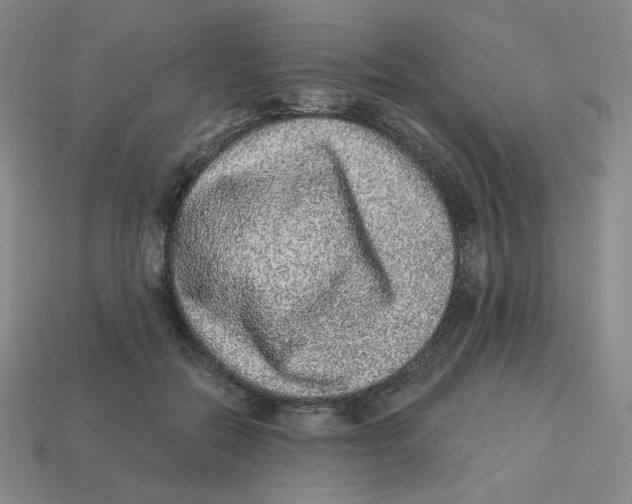 X0000113320554200910131130