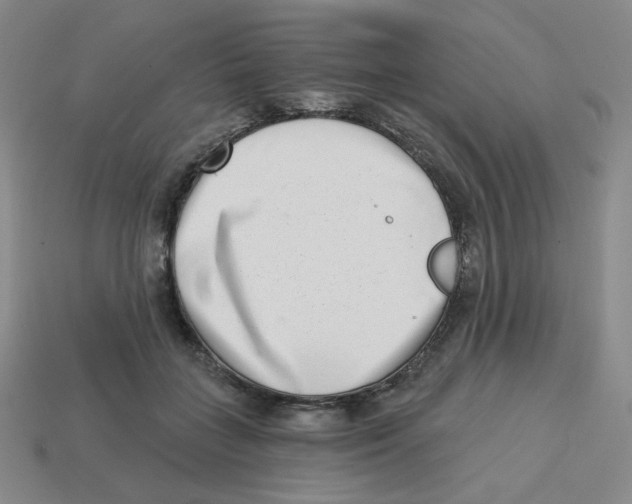 X0000113320555200910131130