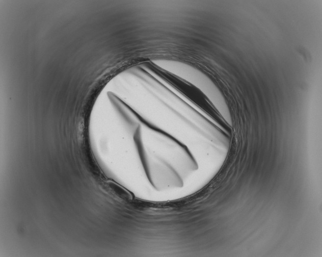 X0000113320556200910131130