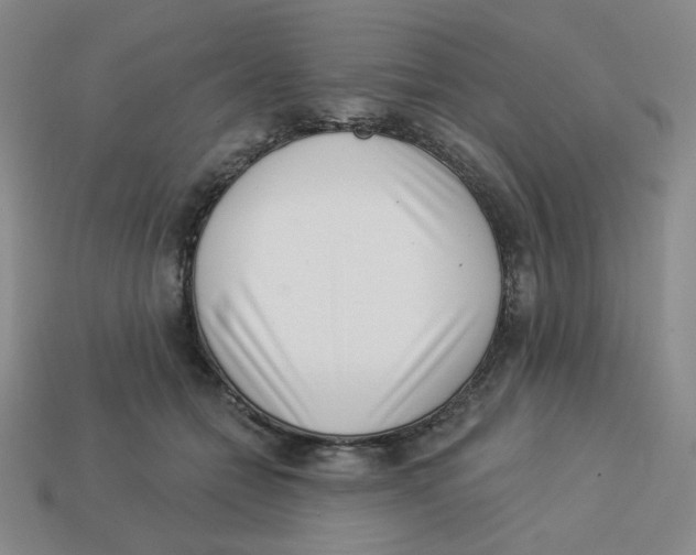 X0000113320558200910131130