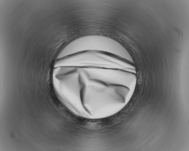 X0000113320560200910131130