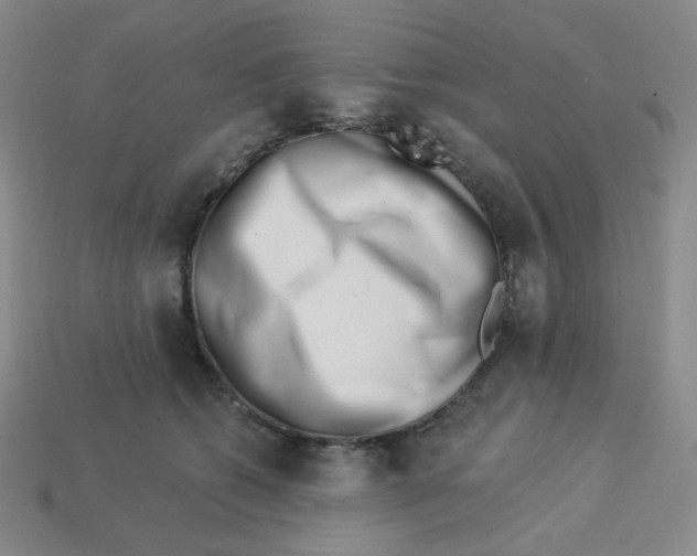 X0000113320562200910131130