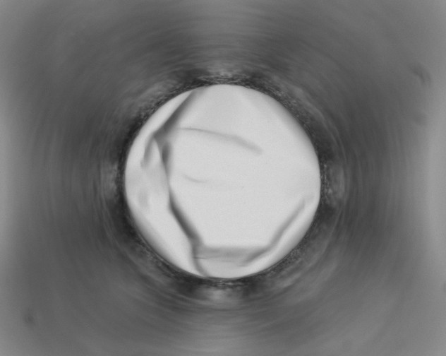 X0000113320563200910131130