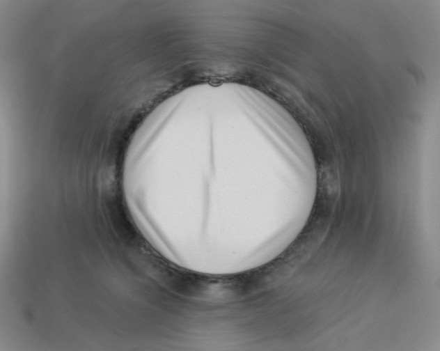 X0000113320564200910131130