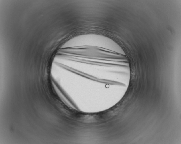 X0000113320566200910131130