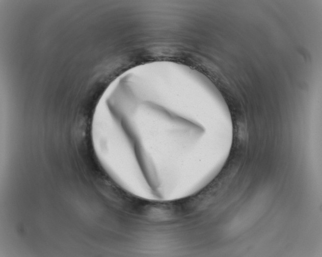 X0000113320567200910131130