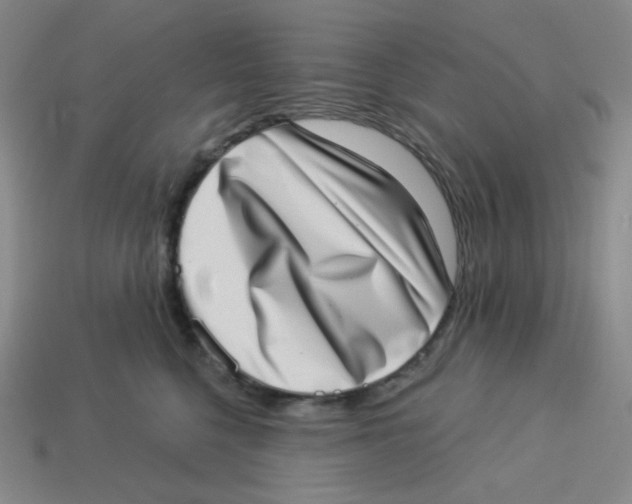 X0000113320568200910131131