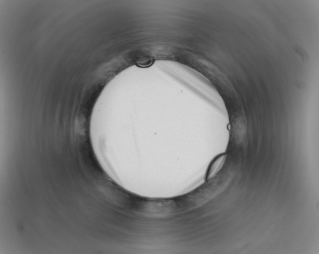 X0000113320571200910131131