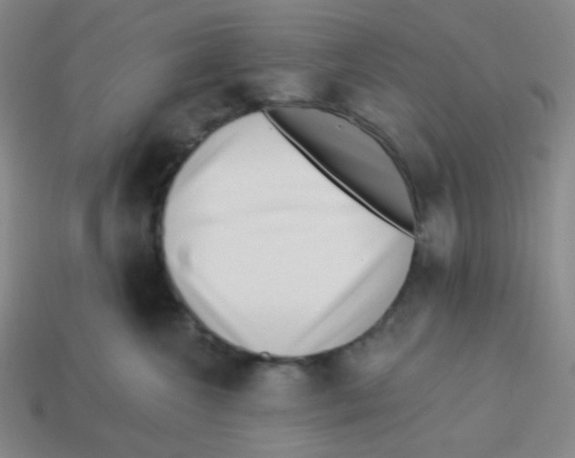 X0000113320572200910131131