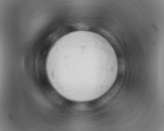 X0000113320573200910131131