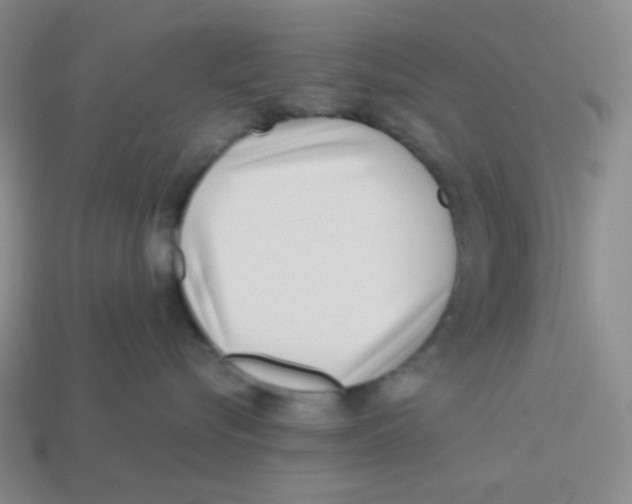 X0000113320576200910131131