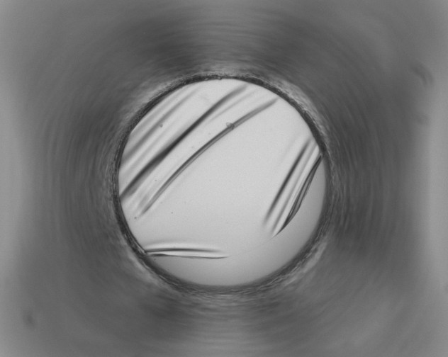 X0000113320577200910131130