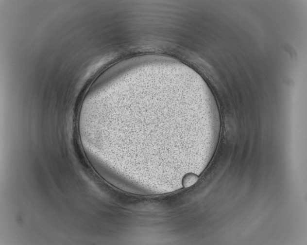 X0000113320578200910131130