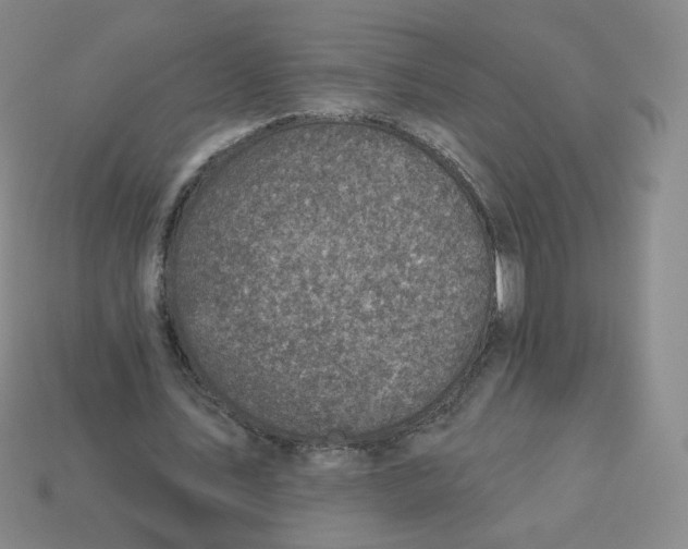 X0000113320579200910131130