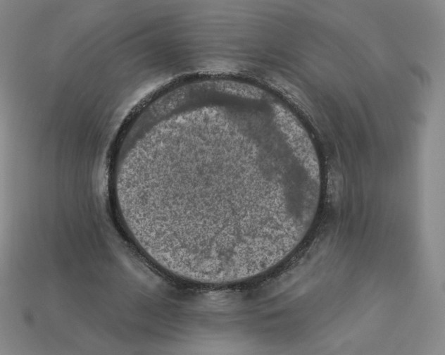 X0000113320584200910131130