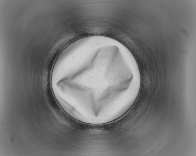 X0000113320586200910131130